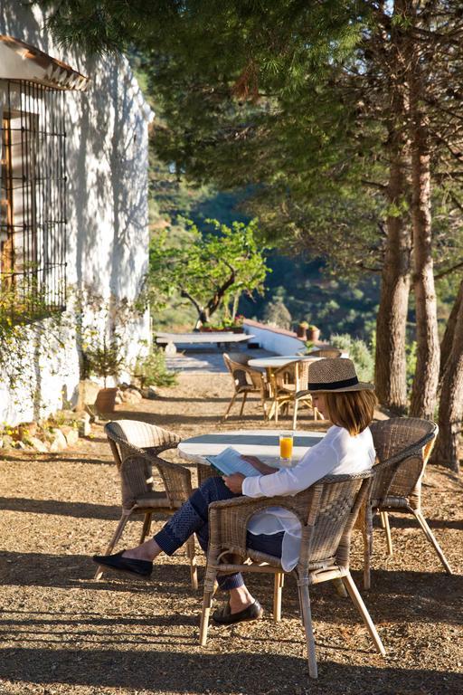 Cortijo Juan Salvador Guest House Olías Екстериор снимка
