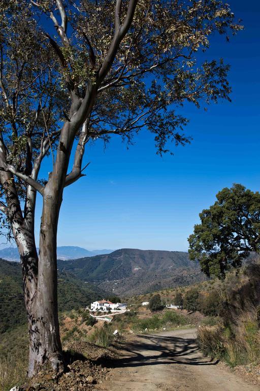 Cortijo Juan Salvador Guest House Olías Екстериор снимка