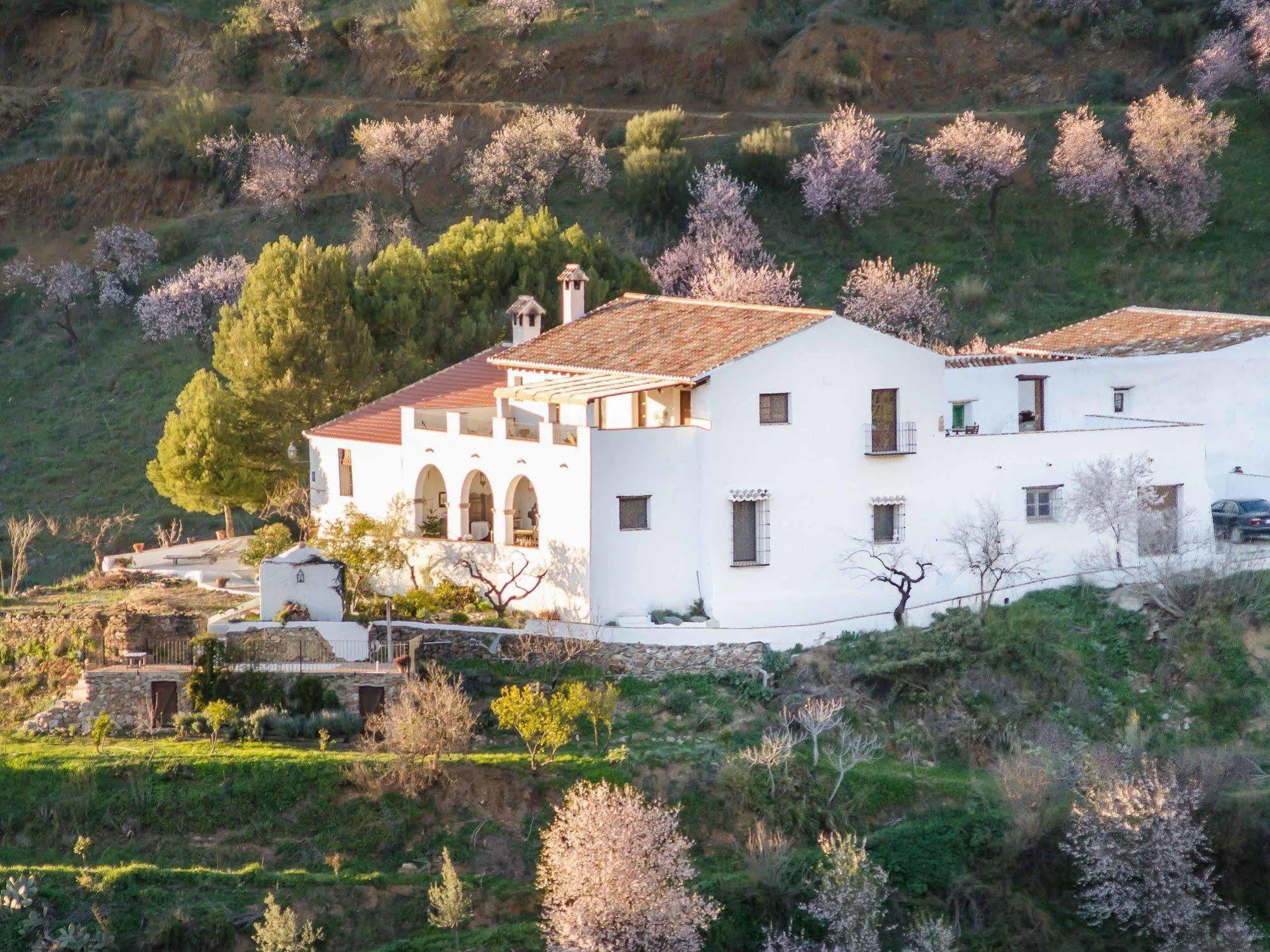 Cortijo Juan Salvador Guest House Olías Екстериор снимка