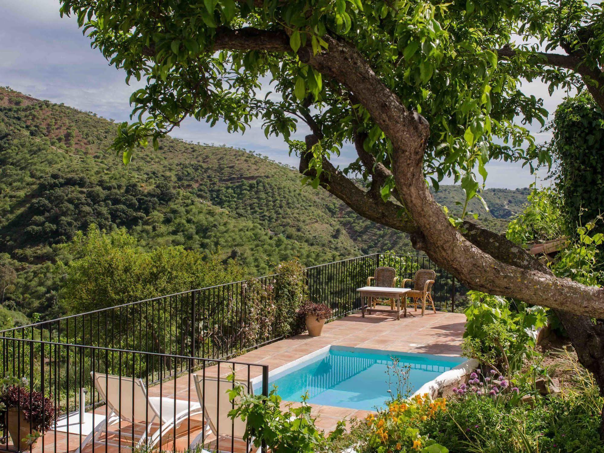 Cortijo Juan Salvador Guest House Olías Екстериор снимка